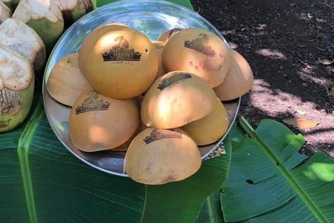 1 Day cocoa farm tour - Entering one of Ghana’s oldest cocoa farms