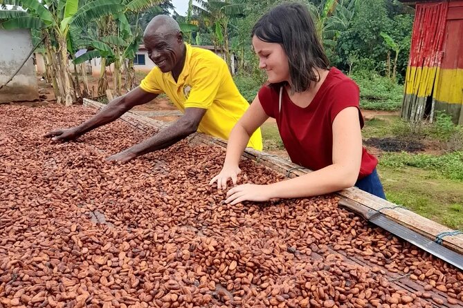 1 Day cocoa farm tour - Who will get the most from this farm visit?
