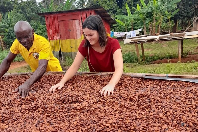 1 Day cocoa farm tour - How cocoa becomes the beans you recognize