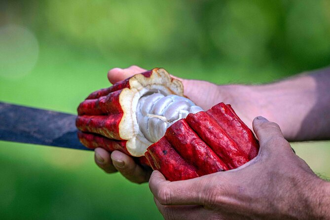 10 Bar Hawaiian Craft Chocolate Tasting Experience - A small group with room for questions