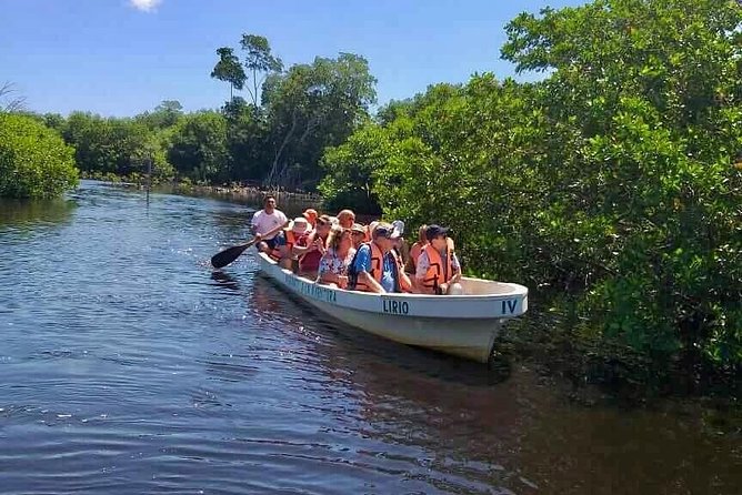 4 in 1 Tour - Mazunte, Cacao Factory, La Ventanilla National Park & Turtle Spawn - Entering La Ventanilla’s mangrove estuary by canoe