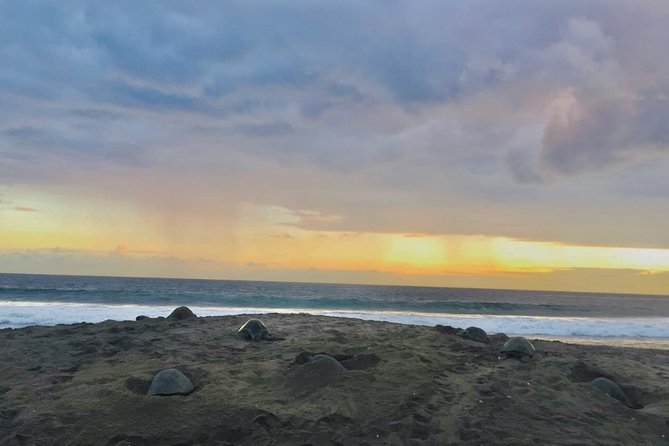 4 in 1 Tour - Mazunte, Cacao Factory, La Ventanilla National Park & Turtle Spawn - Mazunte’s women’s co-op and a short town walk