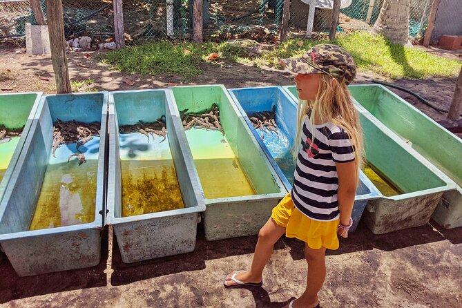 4-in-1 Tour - Mazunte,Cacao Factory, La Ventanilla & Turtle Spawn - La Ventanilla’s mangrove lagoon and wildlife