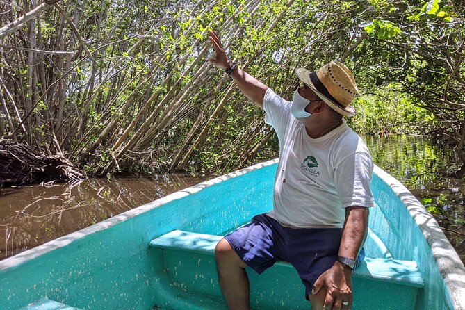 4-in-1 Tour - Mazunte,Cacao Factory, La Ventanilla & Turtle Spawn - The turtle spawning at day’s end