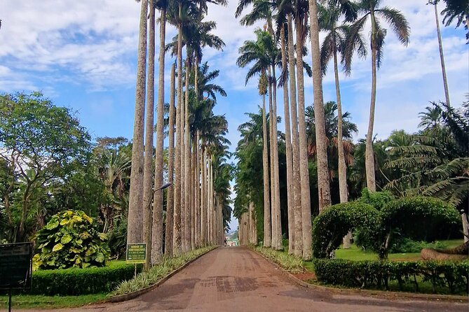 Aburi Botanic Gardens, Boti Falls,Umbrella Rock & Cocoa Farm Tour - A full day from Accra into Ghana’s Eastern Region