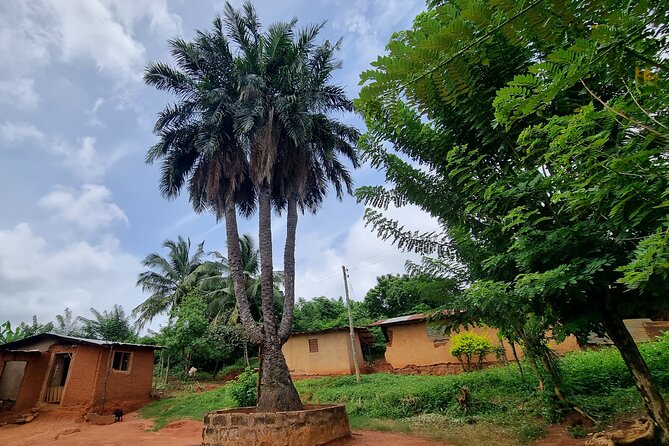 Aburi Botanic Gardens, Boti Falls,Umbrella Rock & Cocoa Farm Tour - Umbrella Rock, with a choice of walking or riding