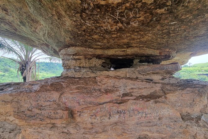 Aburi Botanic Gardens, Boti Falls,Umbrella Rock & Cocoa Farm Tour - The three-headed palm at Boti