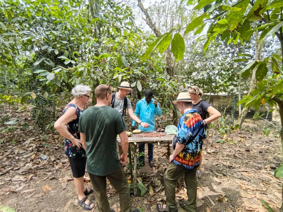 Accra: Aburi Botanical Garden, Cocoa Farm, and Waterfall … - Key points to know before booking