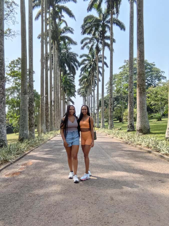 Accra: Aburi Botanical Garden, Cocoa Farm, and Waterfall … - From Accra to the hills of the Eastern Region