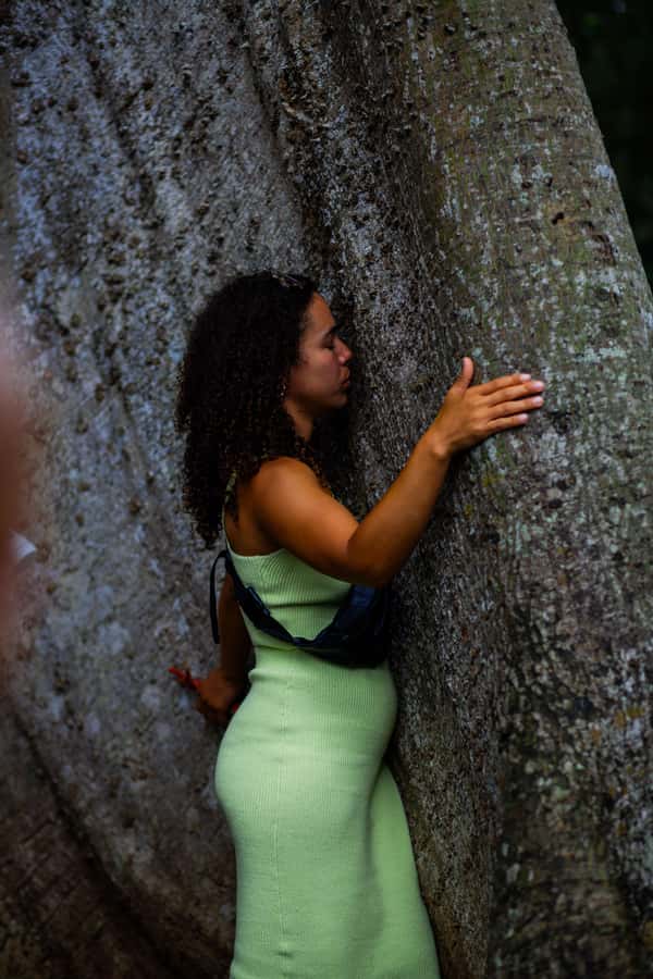Accra: Aburi Botanical Garden, Cocoa Farm, and Waterfall … - What the $194 price covers