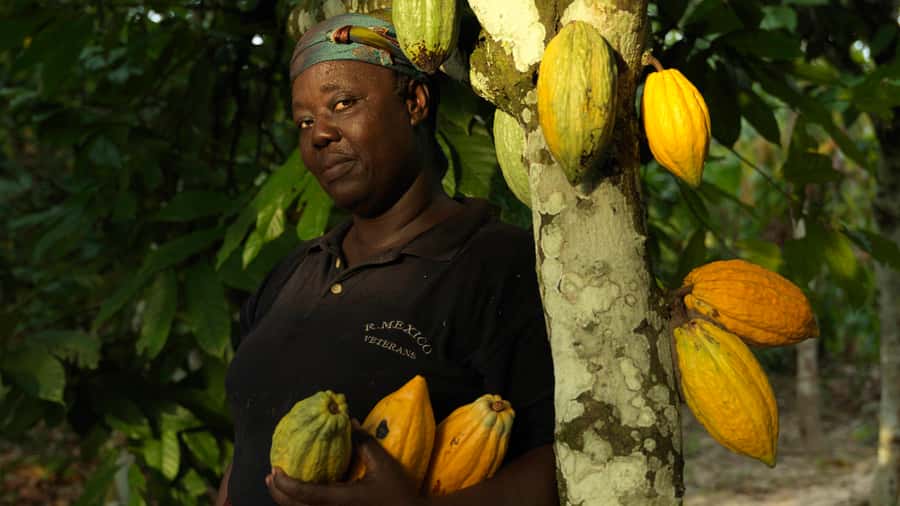 Accra Aburi Eco & Cocoa Experience: Gardens Waterfall &Lunch - Key points to know before booking