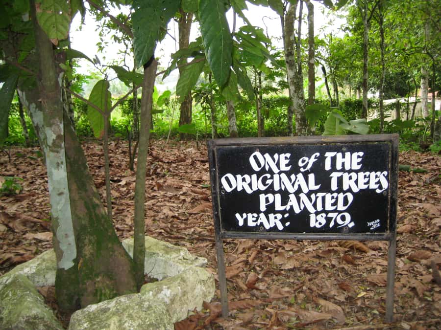 Accra Aburi Eco & Cocoa Experience: Gardens Waterfall &Lunch - Who should book this Accra day trip?
