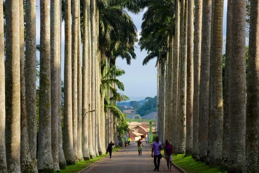 Accra Aburi Eco & Cocoa Experience: Gardens Waterfall &Lunch - Tetteh Quarshie and Ghana’s cocoa story