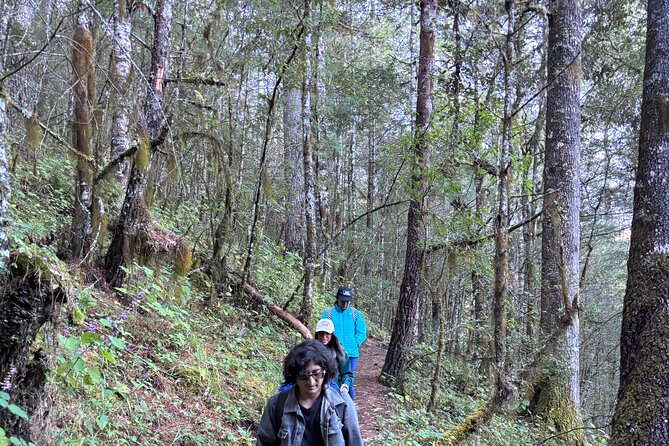Amazing Walk through the Zapotec Mountains with Hot Chocolate - The last climb and the mountain viewpoint
