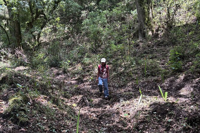 Amazing Walk through the Zapotec Mountains with Hot Chocolate - Hot chocolate in the cold mountain air