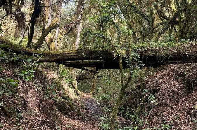 Amazing Walk through the Zapotec Mountains with Hot Chocolate - Clothing, sun, and fitness advice