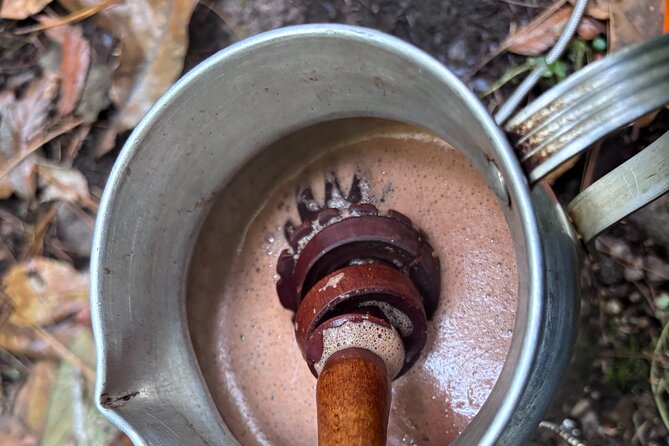Amazing Walk through the Zapotec Mountains with Hot Chocolate - A pine forest walk with room to slow down