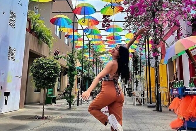 Ambar Chocolate Puerto Plata Culture and Colored Umbrella - Key points to know before booking