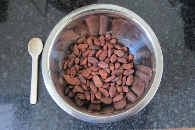 Artisanal Chocolate Bean to Bar Workshop in Cancún - What the price includes at $116.99