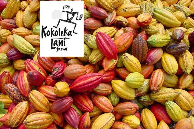 Award Winning Farm Tour: Coffee, Chocolate and Unique Gifts - The Soap Workshop Is the Surprise