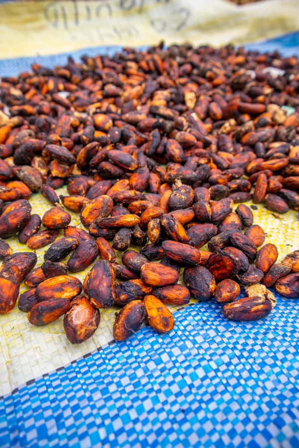 Bean to Bar: Cocoa and Chocolate Workshop - Is This Chocolate Class Worth $101?
