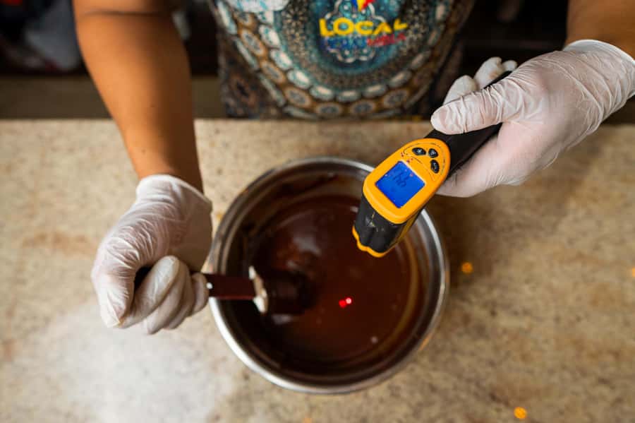Bean to Bar: Cocoa and Chocolate Workshop - Tasting Chocolate From 40 to 100 Percent