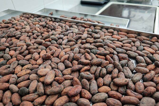 Become a chocolatier for a day, in Modica raw chocolate - Learning what goes into raw chocolate