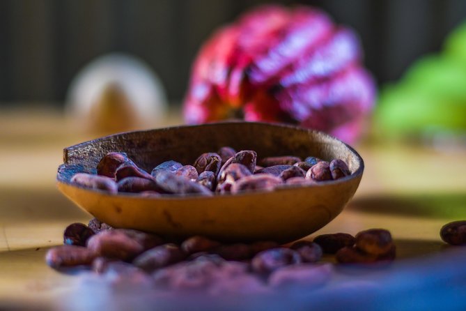 Best of Grenada: Waterfalls, Chocolate, Nutmeg Museum, History - What the $140 price really covers