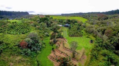 Big Island Hawaii: Craft Chocolate Tasting and Farm Tour
