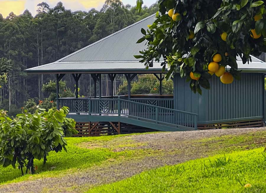 Big Island Hawaii: Craft Chocolate Tasting and Farm Tour - Tasting Ten or More Single-Origin Bars