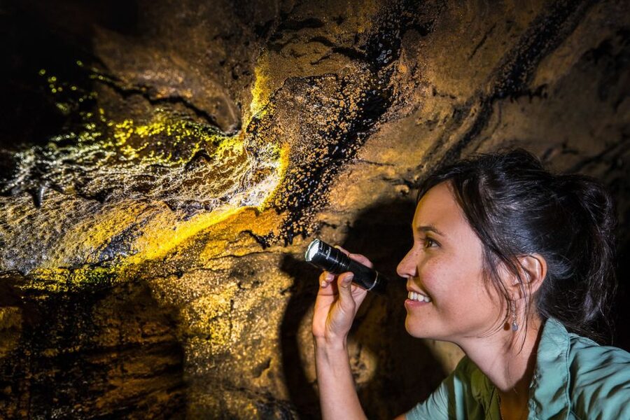 Big Island: Volcano, Chocolate & Waterfall Adventure - Lunch, snacks, and the practical side of a long day