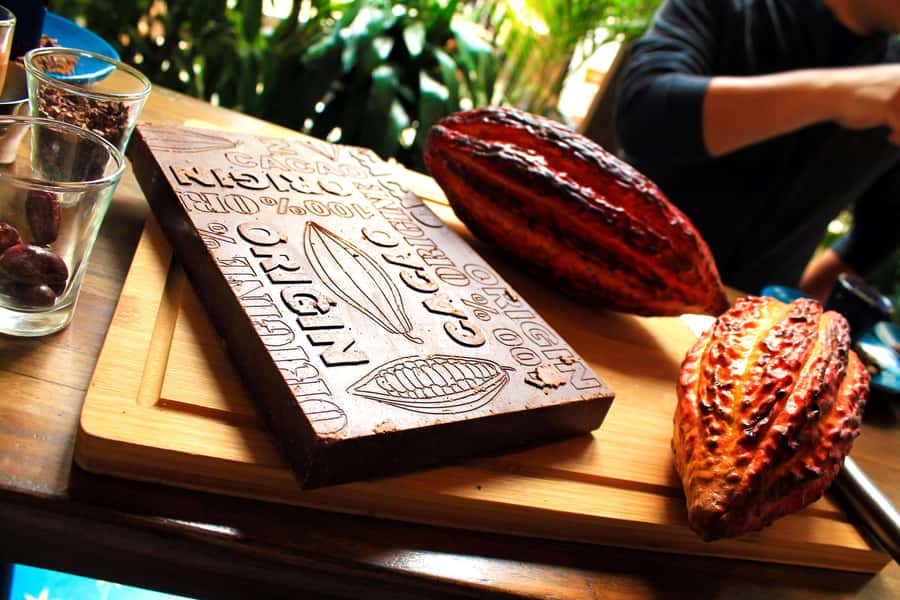 Bogotá: Candelaria Tour with Cacao and Coffee Workshop - What the $116 price really covers