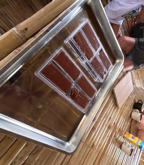 Bohol Chocolate Making and Farm Tour - What makes the private format useful