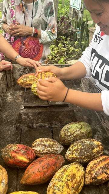 Bohol Chocolate Making and Farm Tour - Is $94 per person good value?