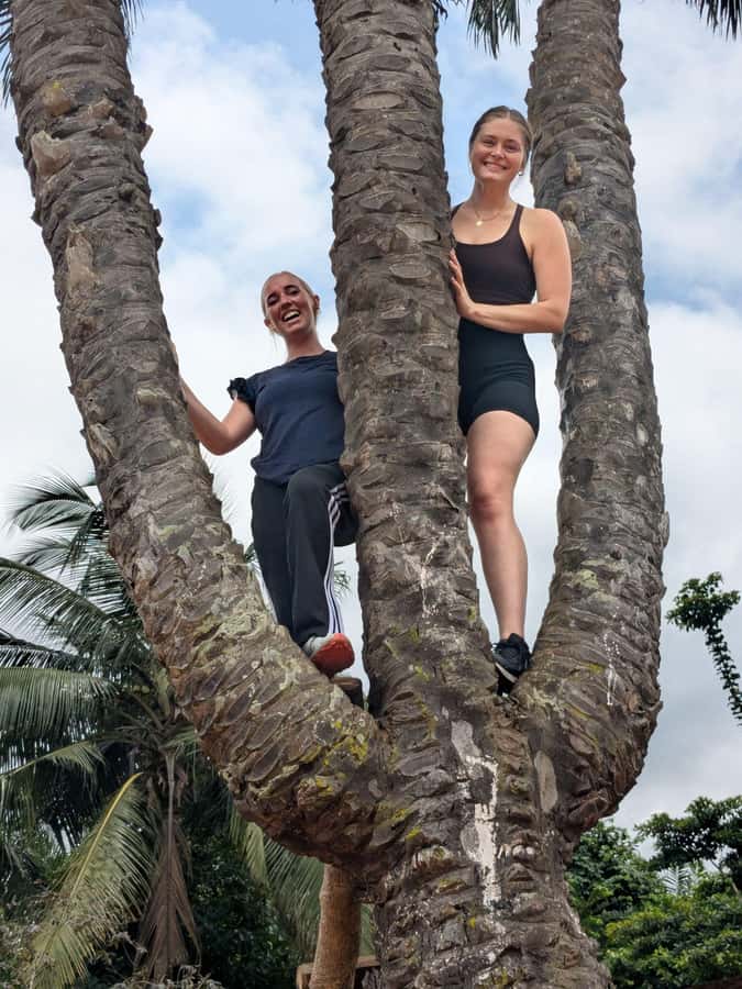 Boti Falls, Umbrella Rock, Aburi Gardens & Cocoa Farm Tour - Key points to know before booking