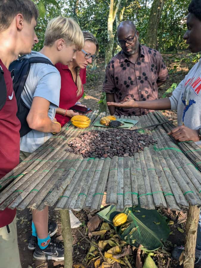 Boti Falls, Umbrella Rock, Aburi Gardens & Cocoa Farm Tour - Who should book this Ghana nature day trip?