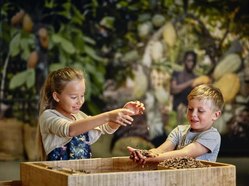 Broc: Entry ticket to the Maison Cailler chocolate factory - Timing, access, and planning your stop