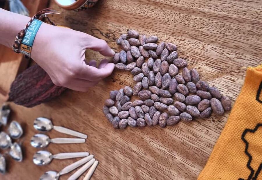 Brussels: 1h-Bean-to-Bar Chocolate Making Workshop - Making chocolate in the heart of Brussels