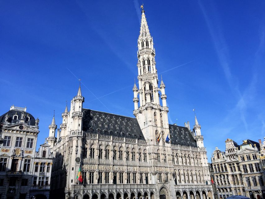 Brussels: Chocolate Workshop and Guided Walking Tour - Who should book this afternoon?