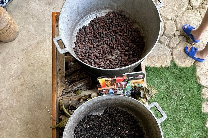 Buggy Adventure Tour with Chocolate and Coffee in Punta Cana - Quick points before you book