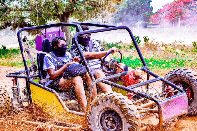 Buggy Ride into the Jungle coffee , chocolate tasting Cenote - Who will enjoy this tour most?
