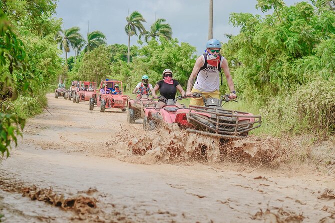 Buggy Ride Into the jungle with cave coffee & chocolate tasting - Coffee, cocoa, tobacco, and the farm stop
