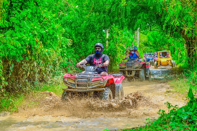 Buggy Ride Into the jungle with cave coffee & chocolate tasting - The sales stops and the authentic Dominican angle