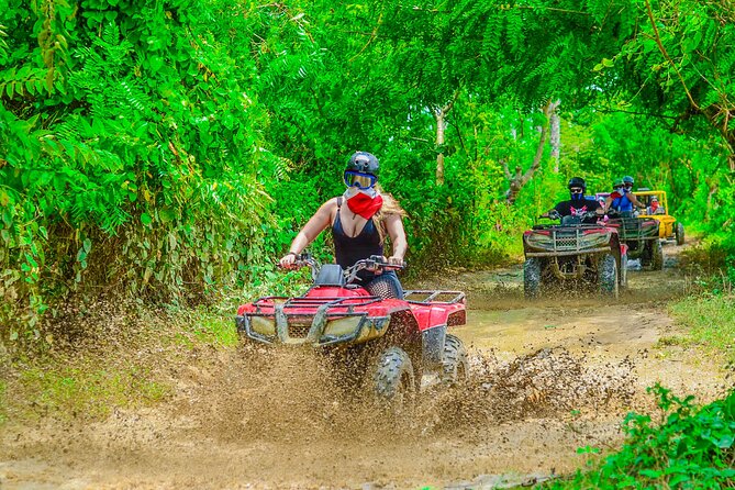 Buggy Ride Into the jungle with cave coffee & chocolate tasting - Price, group size, and practical value
