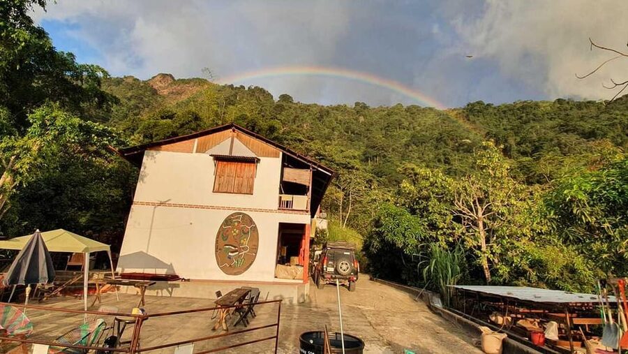 Cacao and Coffee Tour - The guides make a real difference