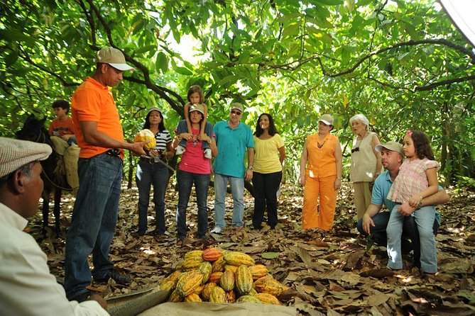 Cacao Plantation and Chocolate Factory Tour- Classic - Key points to know before you book