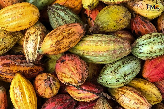 Cai Rang floating market, Cacao & hidden small canal - A 15-minute walk through My Khanh village