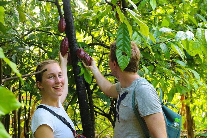Cai Rang floating market, Cacao & hidden small canal - What the $33 price buys you