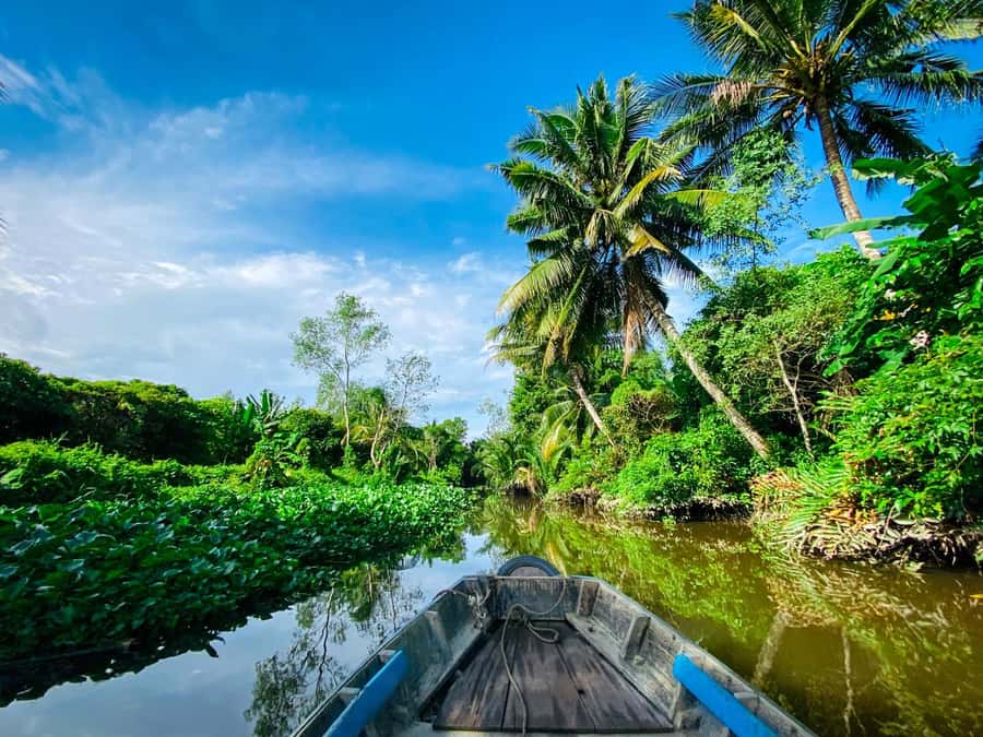 Can Tho: A Real Mekong Tour, Floating Market, Cacao & Life's - What the $25 price really covers