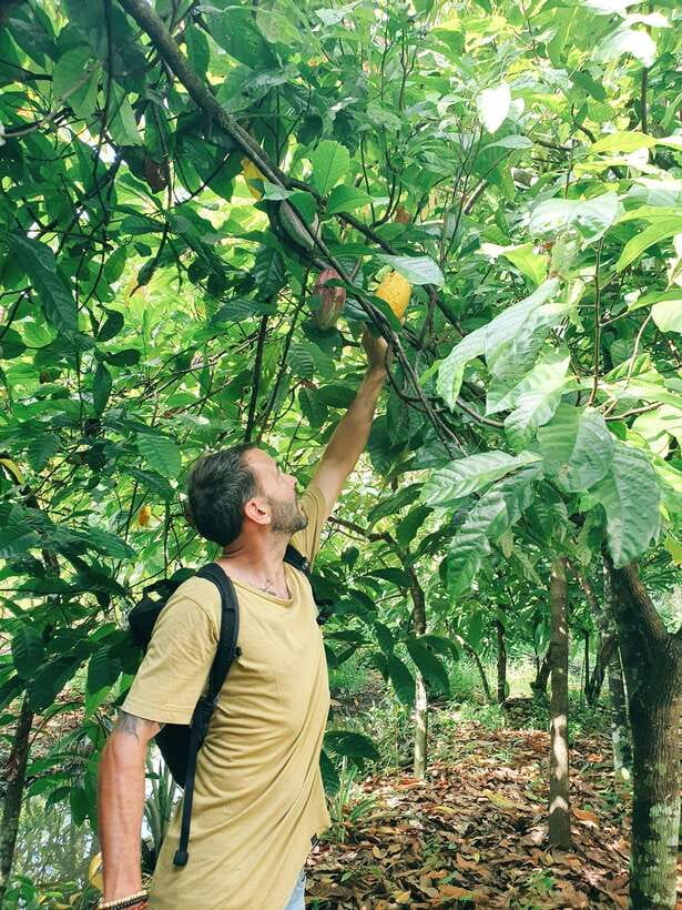 Can Tho: Countryside Cycling Tour with Cocoa Farm Visit - Why this four-hour ride works well in Can Tho